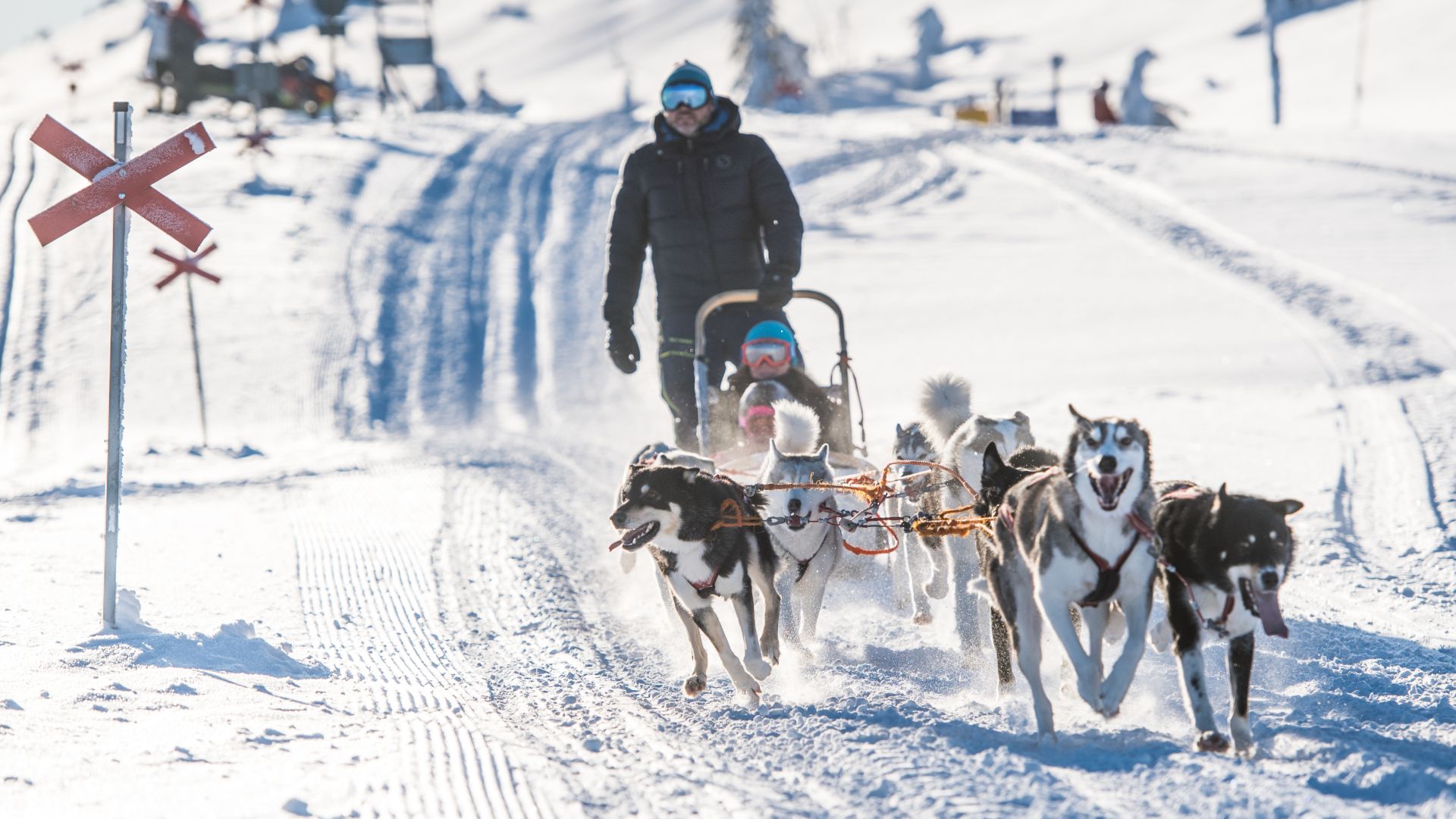 Huskeytocht in de sneeuw