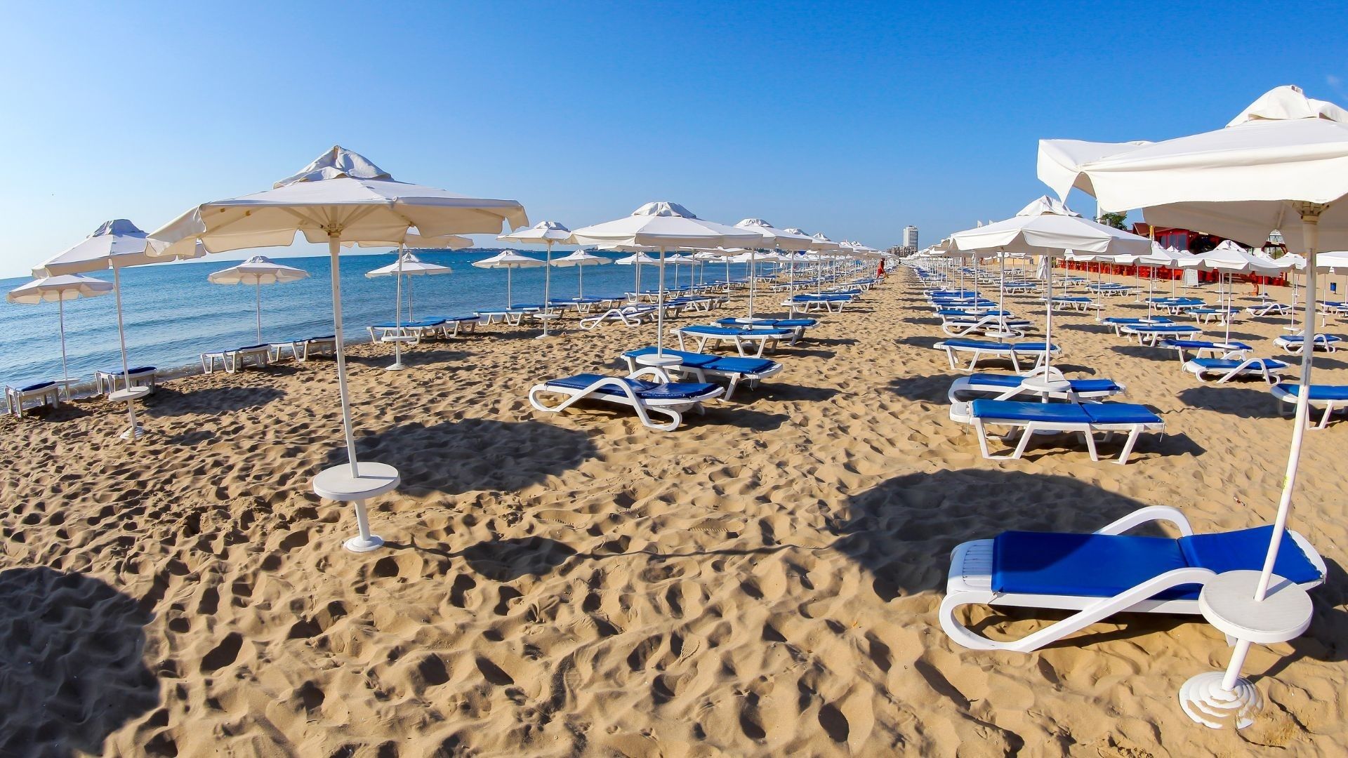 Zonnige strandstoelen en parasols langs de kustlijn.