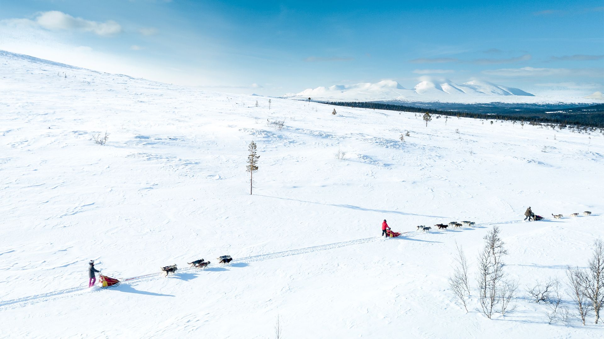 Twee hondensleden glijden over een uitgestrekt, besneeuwd landschap.