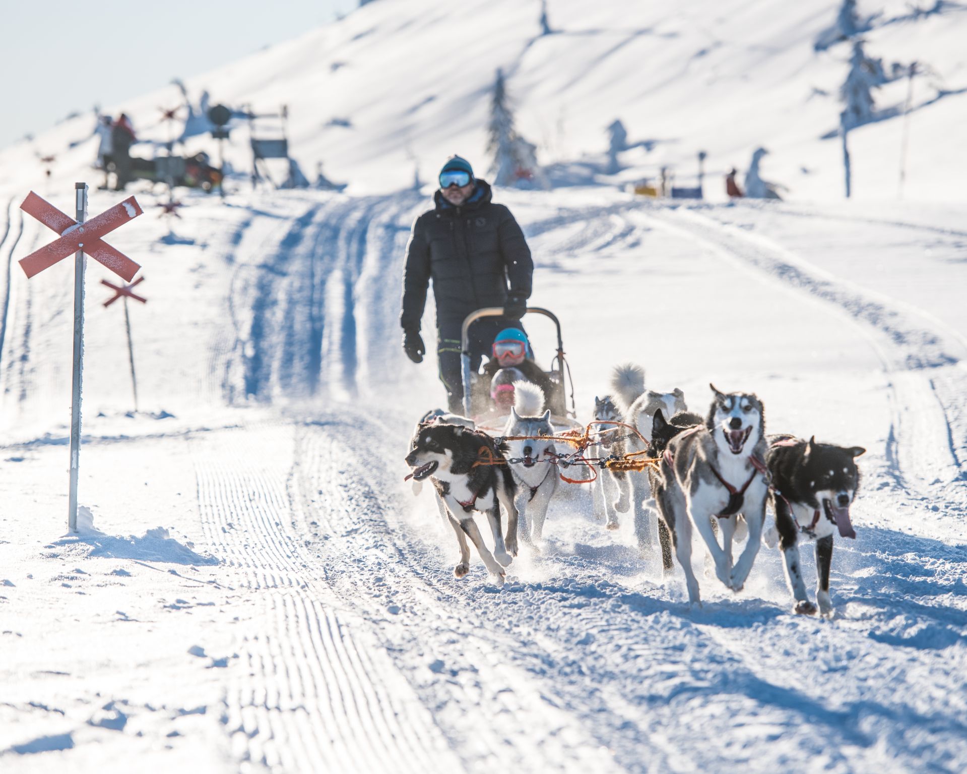Huskeytocht in de sneeuw