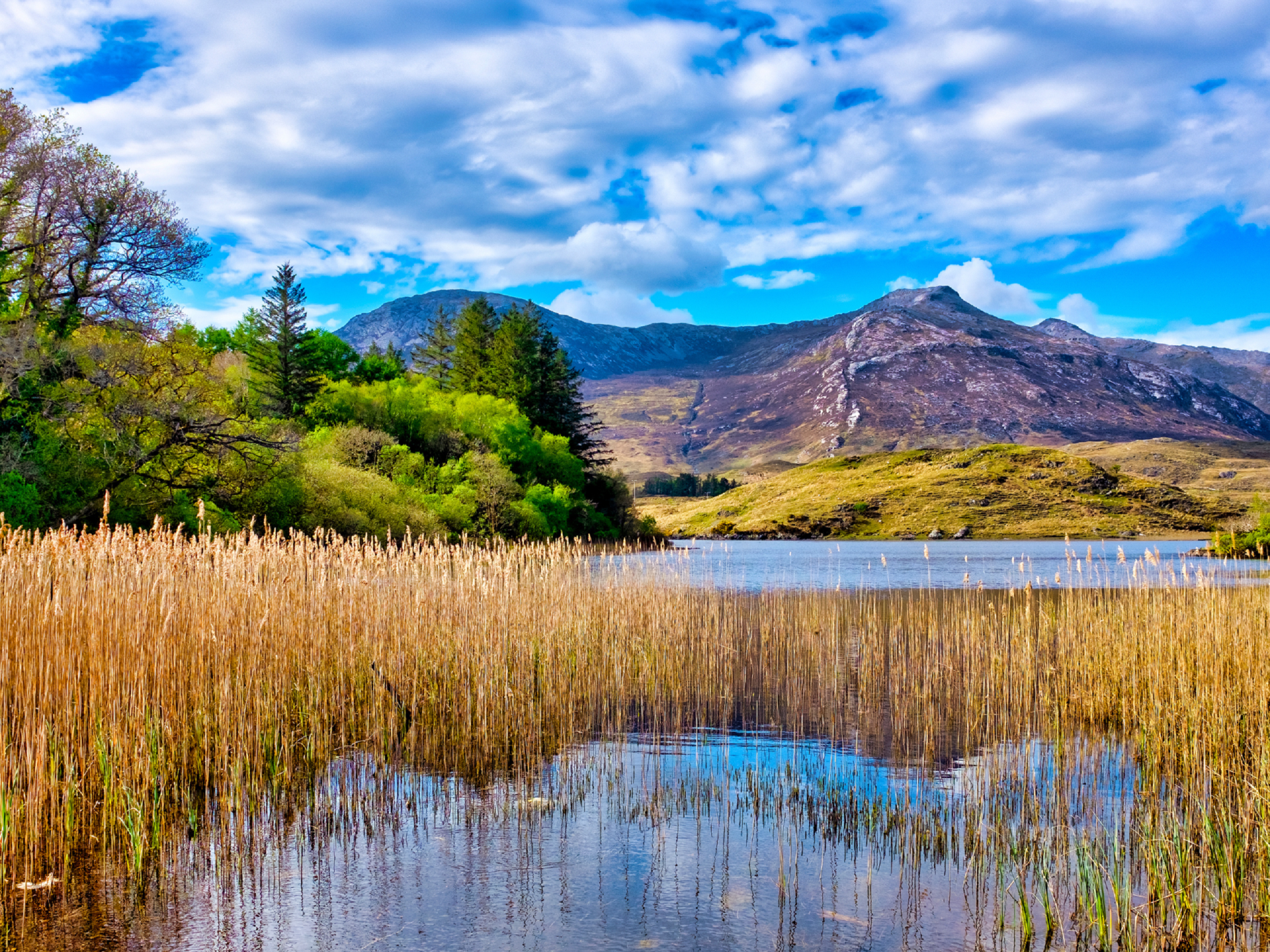 Natuurfoto van West Ierland