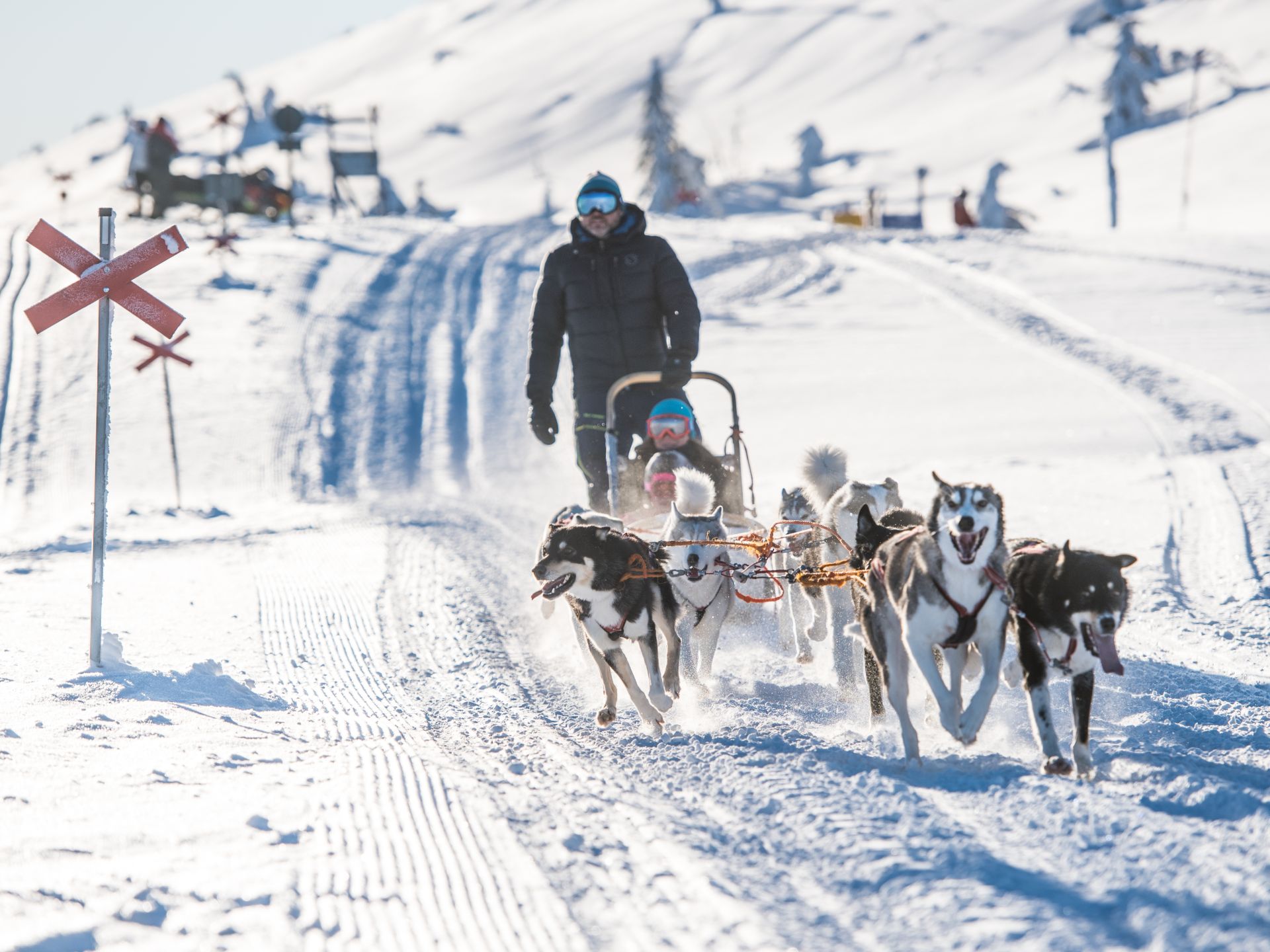 Huskeytocht in de sneeuw