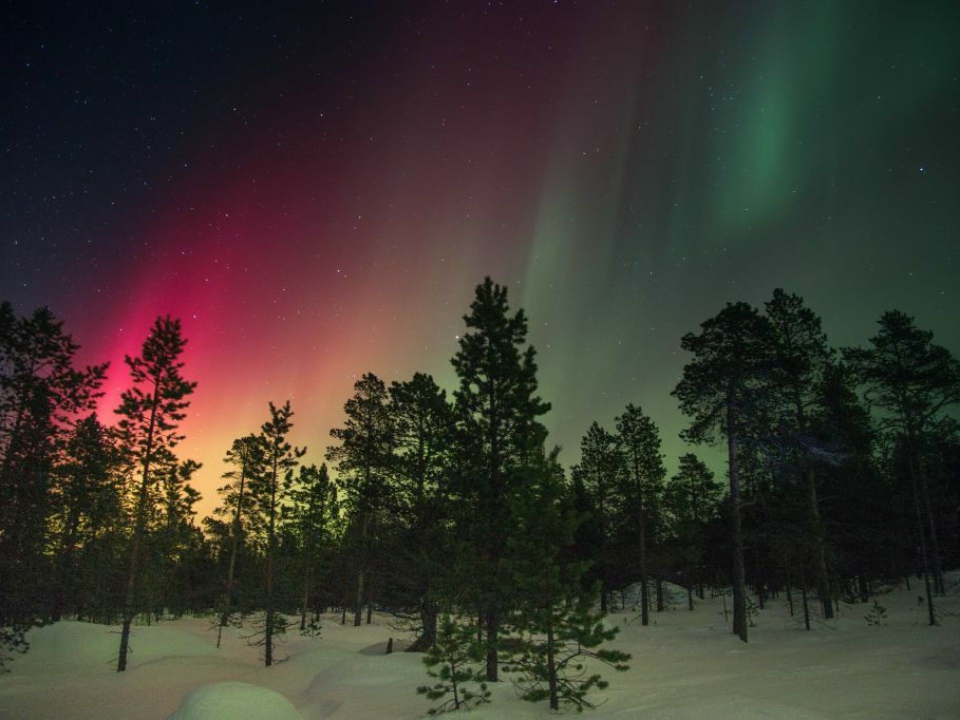 De bijzondere kleuren van het Noorderlicht